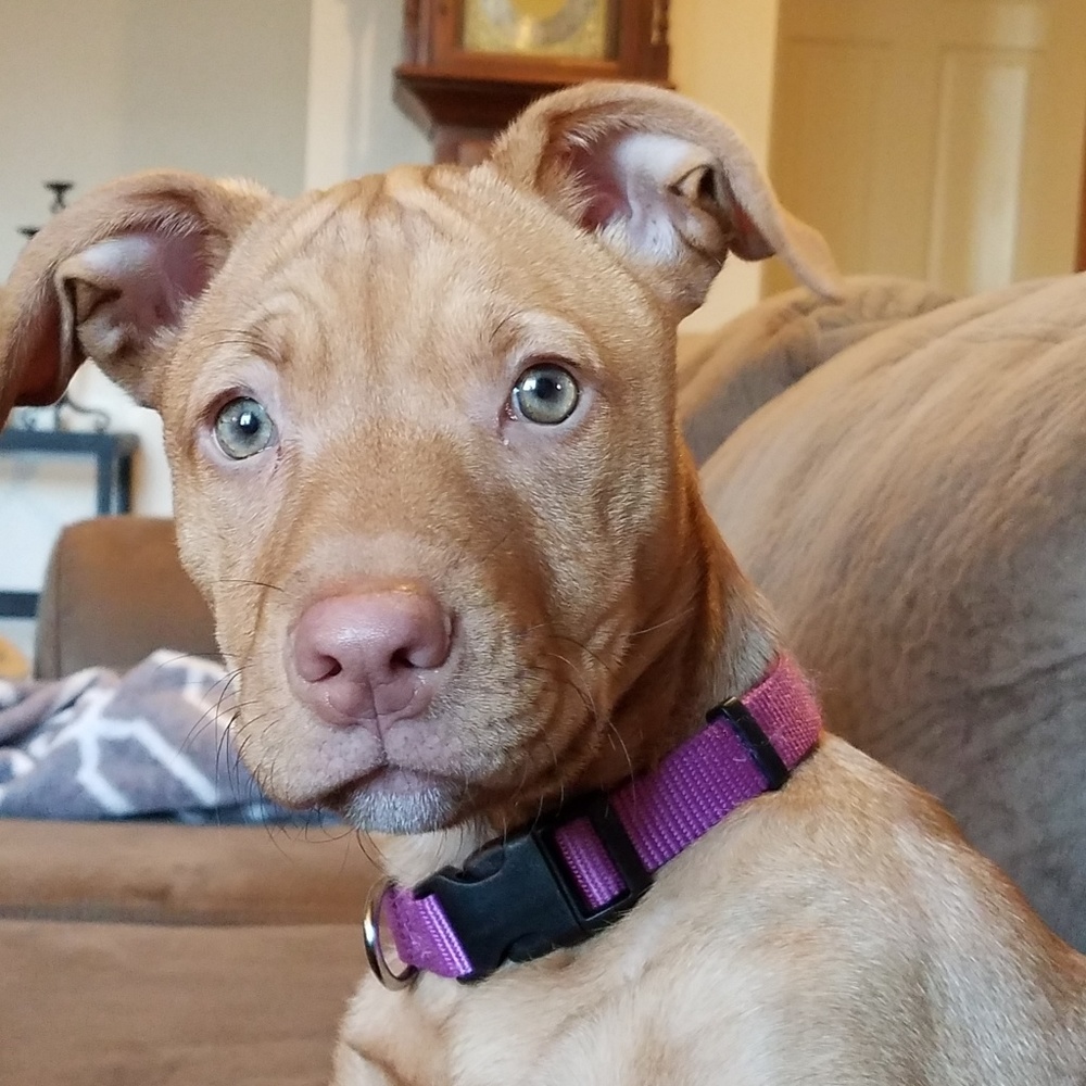 Meet your Posher, Christine / Bill